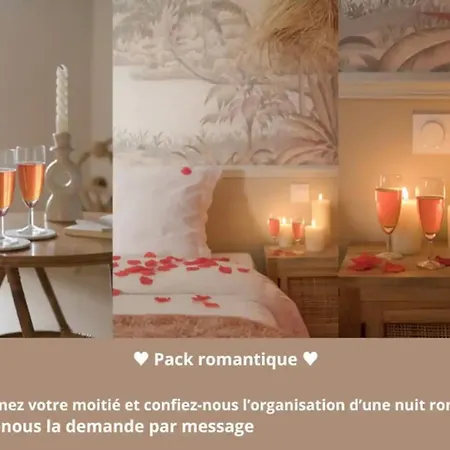 Lägenhet Cosy Et Calme Ideal Deplacement Pro Lyon